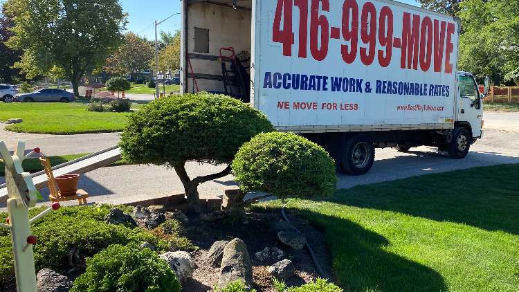 Best Way To Move Ltd