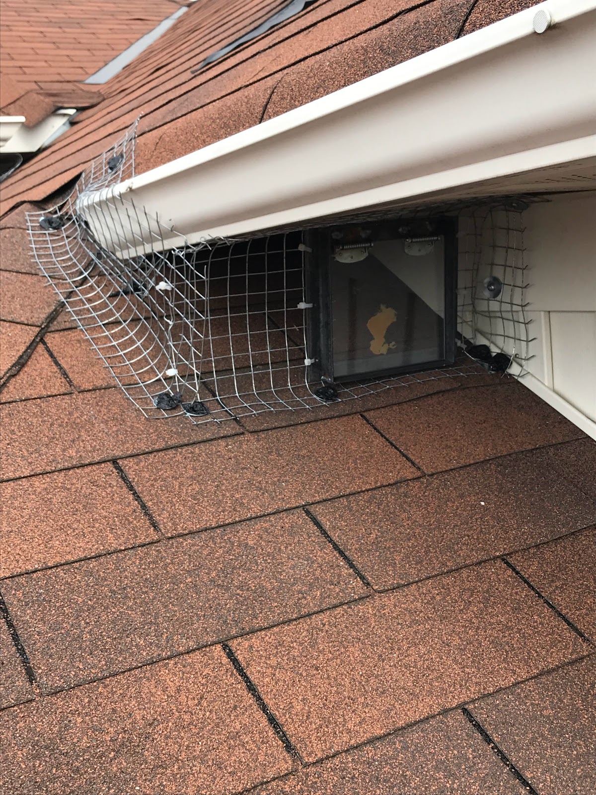 Quality Pest Control GTA