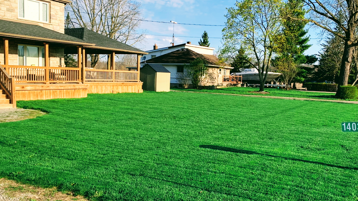 Team Green Lawn Care