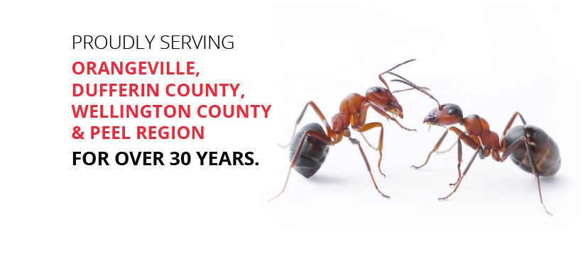 Advance Pest Control