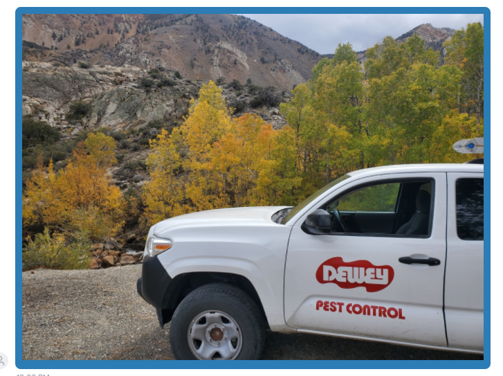 Dewey Pest & Termite Control