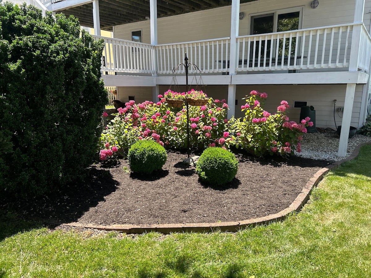 The Vine Landscaping