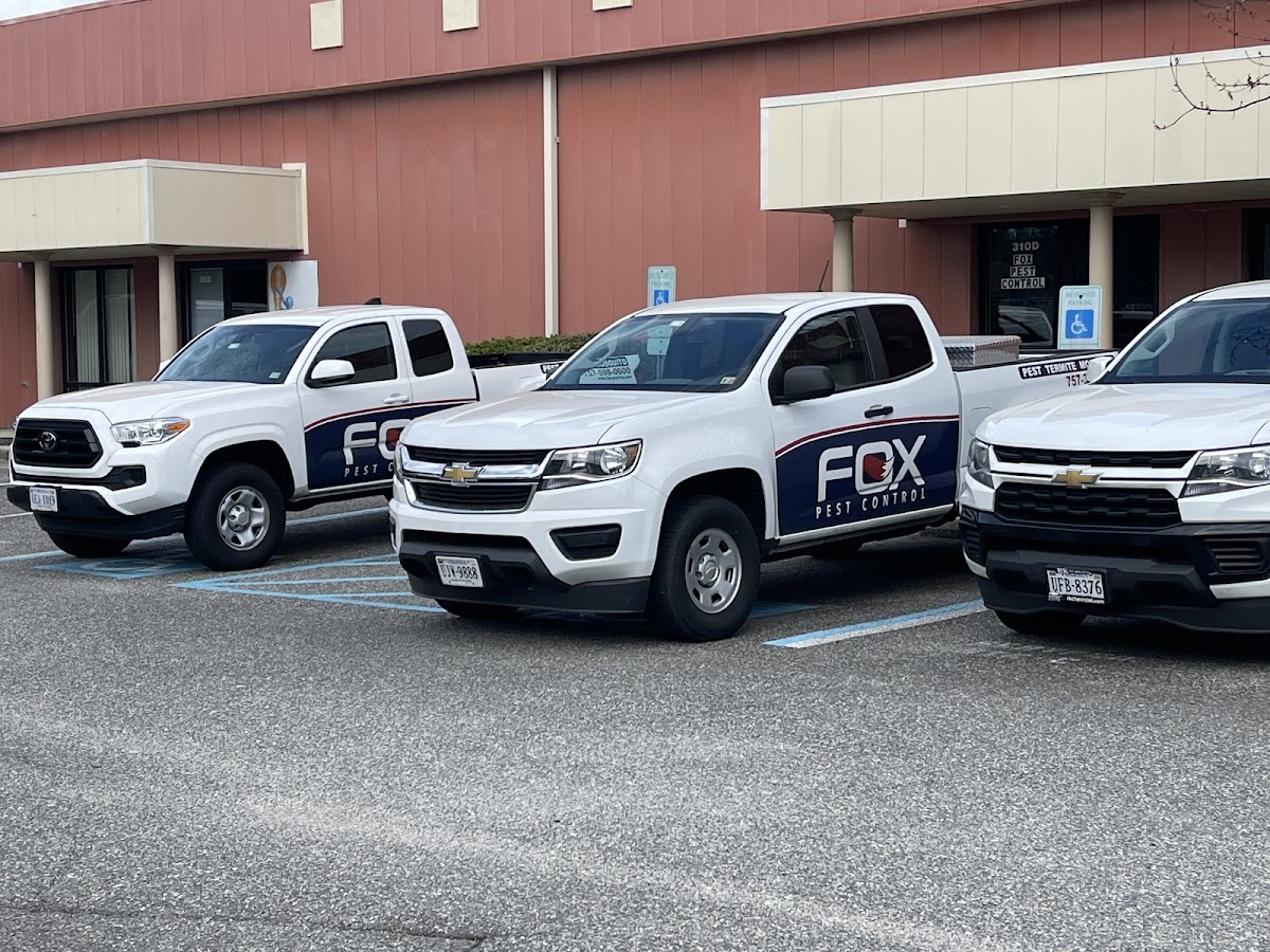 Fox Pest Control Newport News
