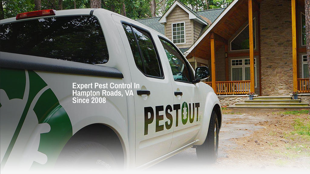 PESTOUT