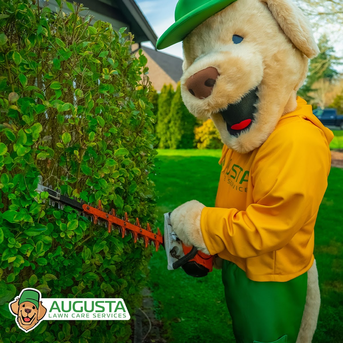 Augusta Lawn Care of East Springfield