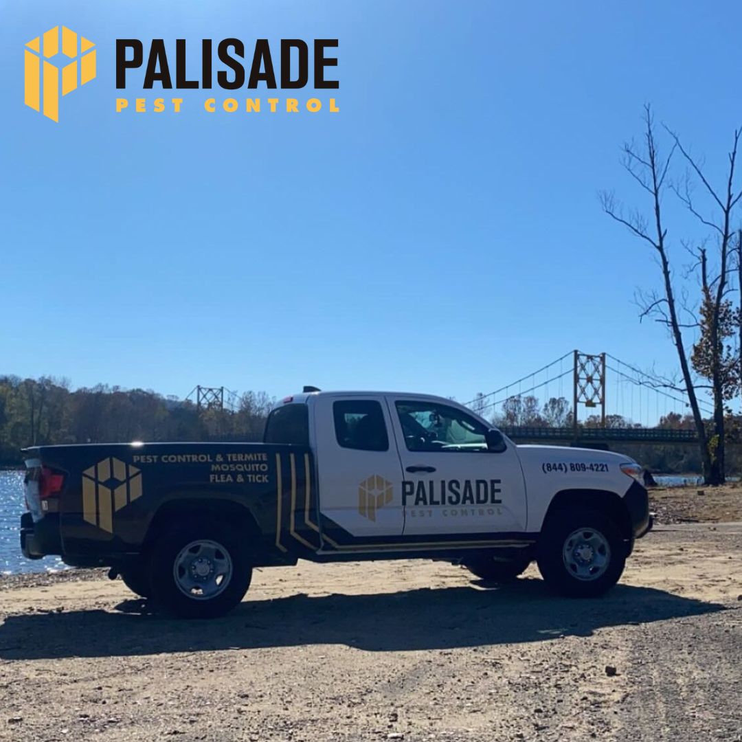 Palisade Pest Control