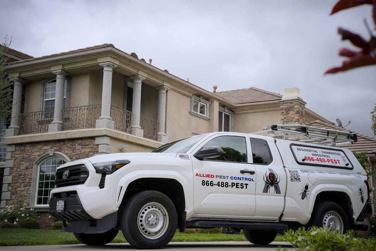 Allied Pest Control