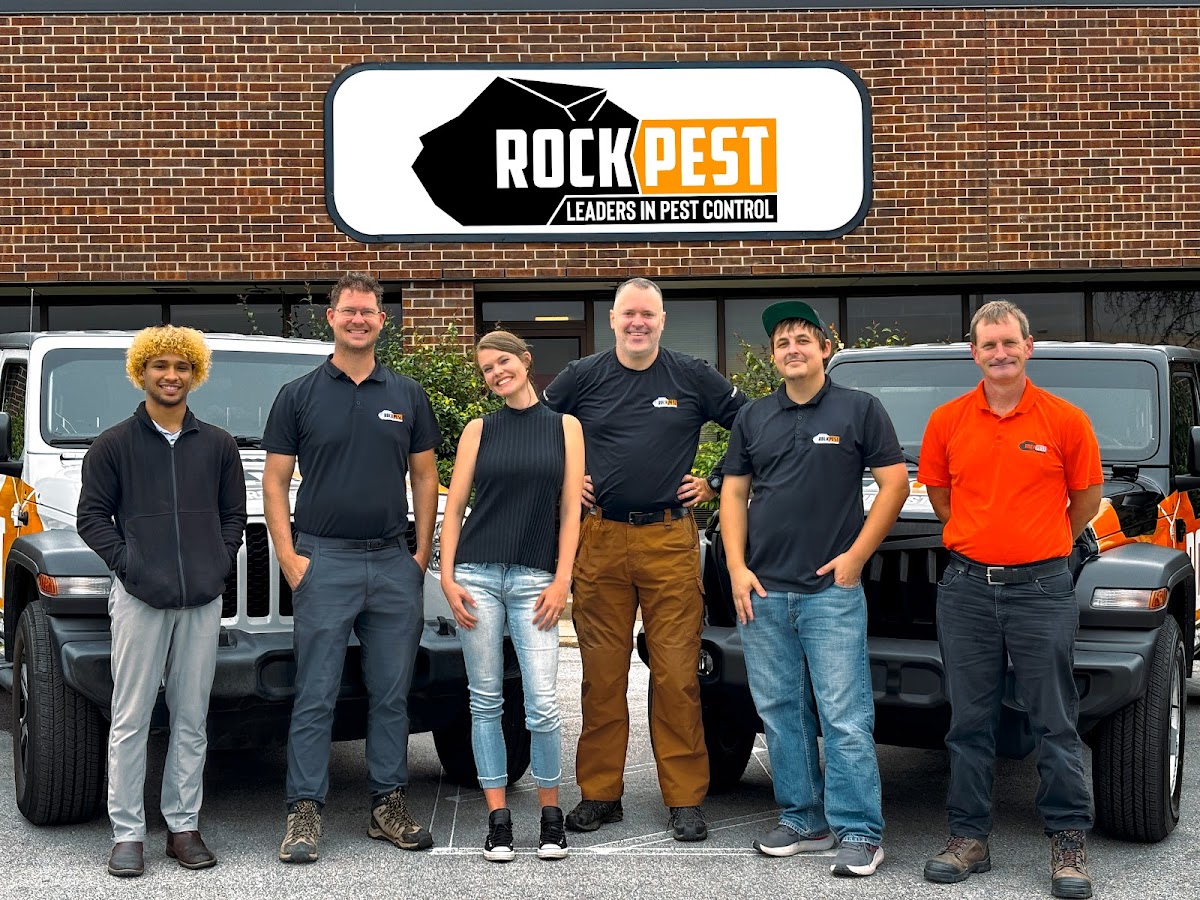 Rock Pest Control