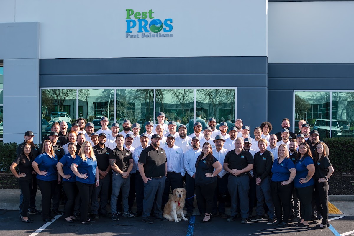 Pest Pros Pest Solutions