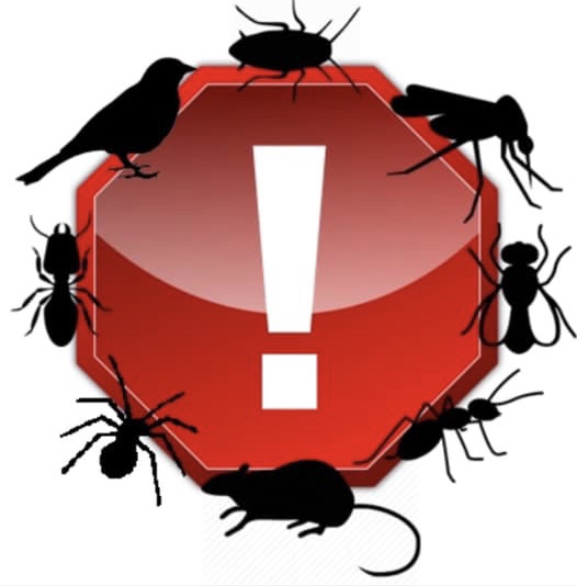 Dixon Pest Control