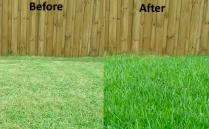 Mr. B.'s Landscaping & More LLC