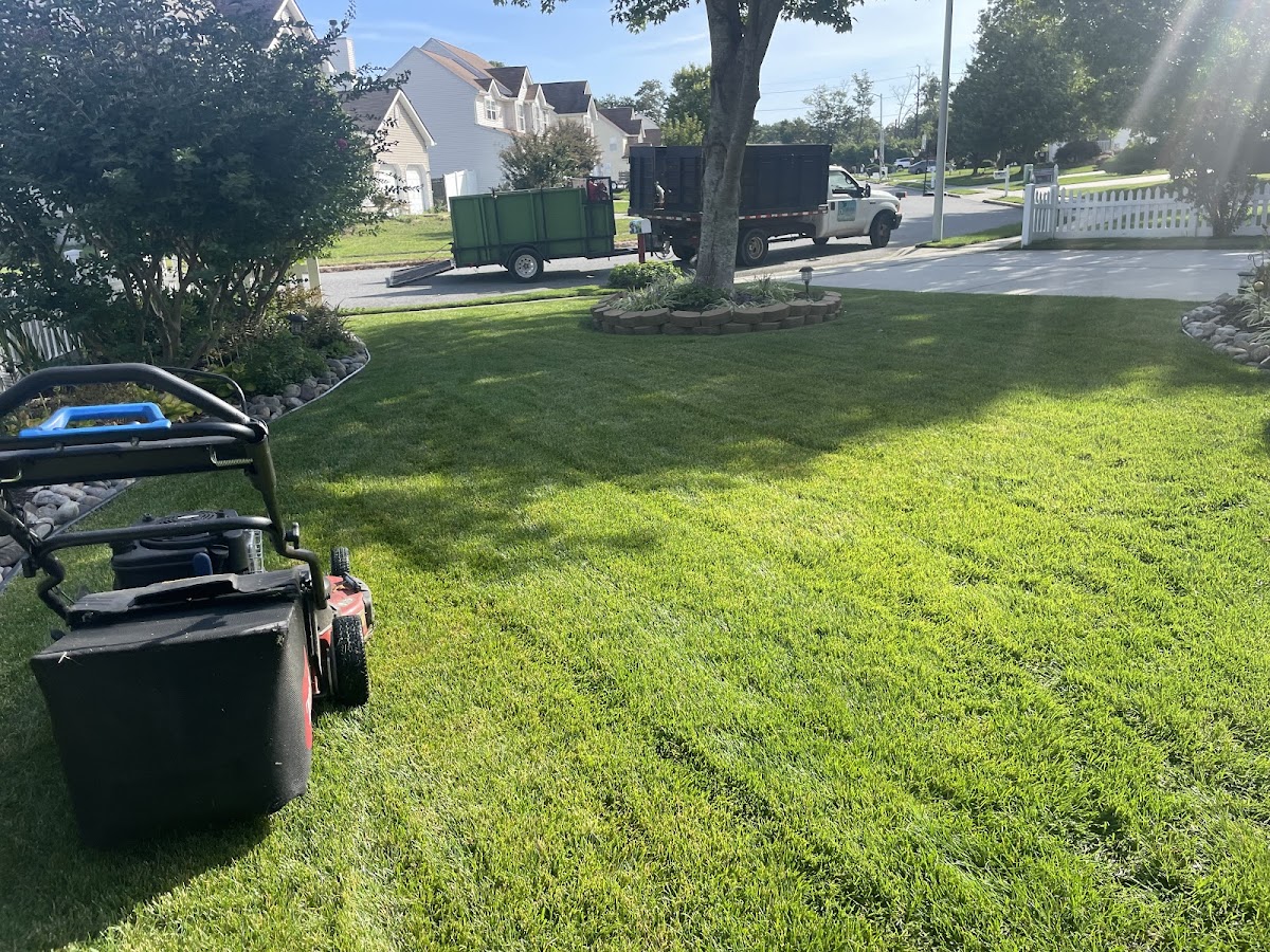 A Vision Landscaping, Lawn Care & Fences LLC