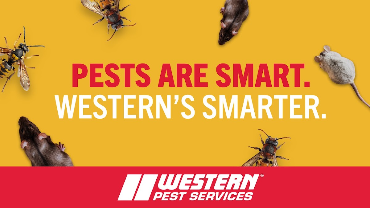 Western Pest Services - Pest Control, Egg Harbor Township, NJ