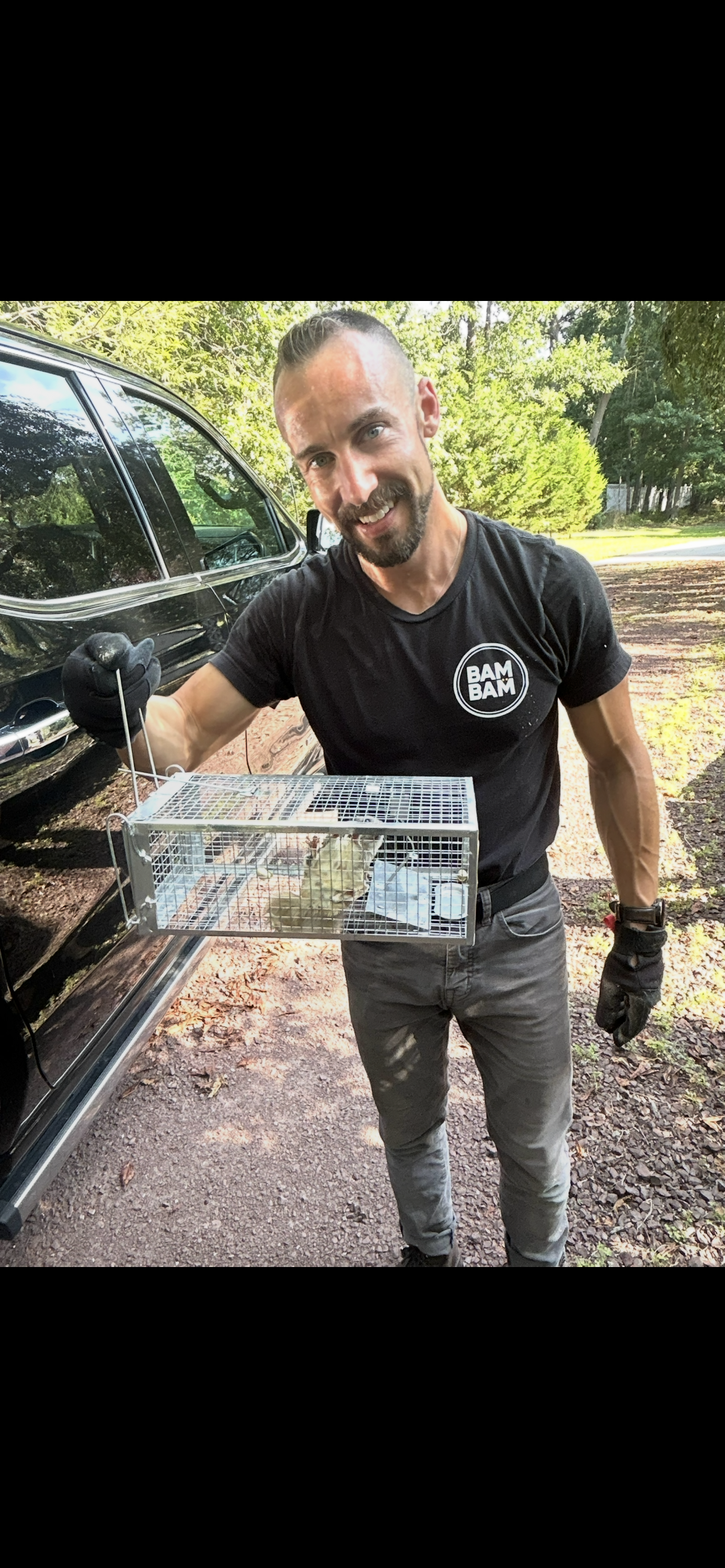 BAMBAM Pest Control