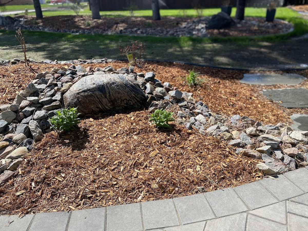 CityScapes Landscaping