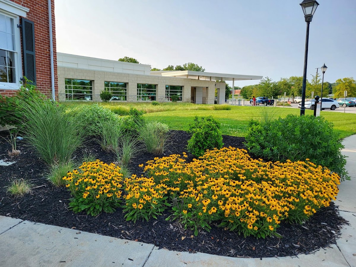 Blue Sparrow Lawn and Landscape, LLC
