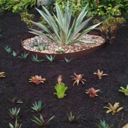 Newscape Lawn care and Landscaping LLC