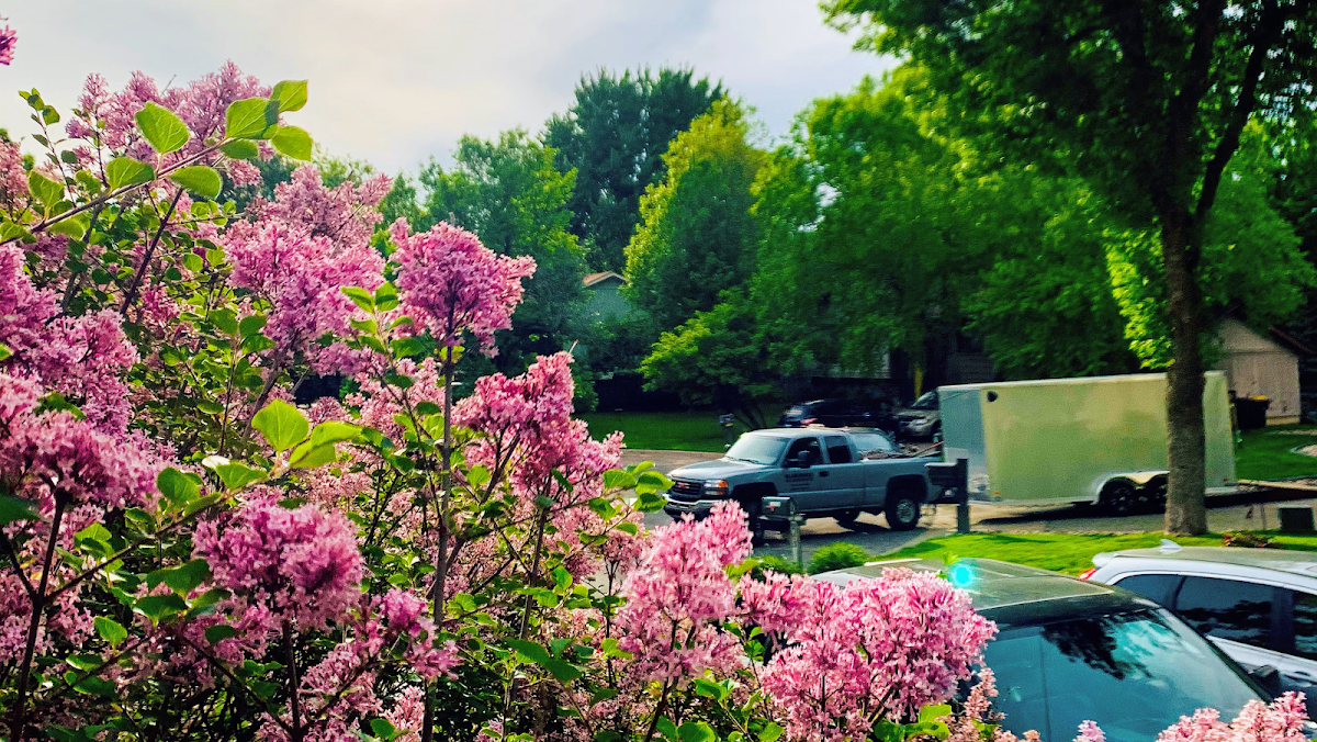 Bluegrass Outdoor Services LLC