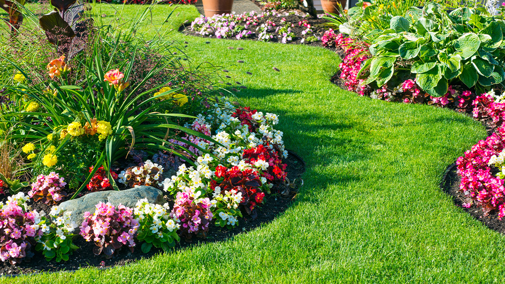 Rooted Lawn & Landscape