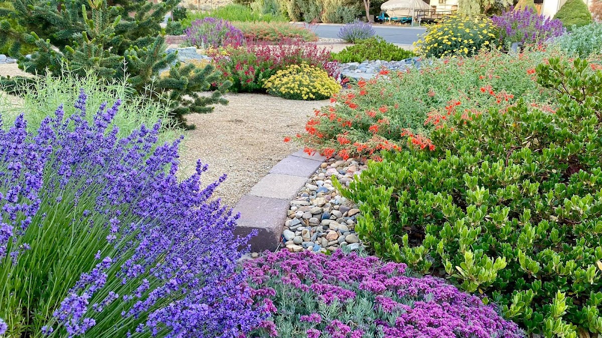 Green Lizard Landscape LLC