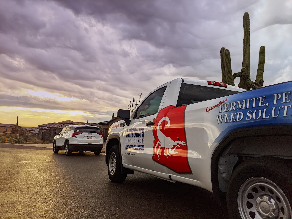 Arizona's Best Choice Pest & Termite Services - Casa Grande