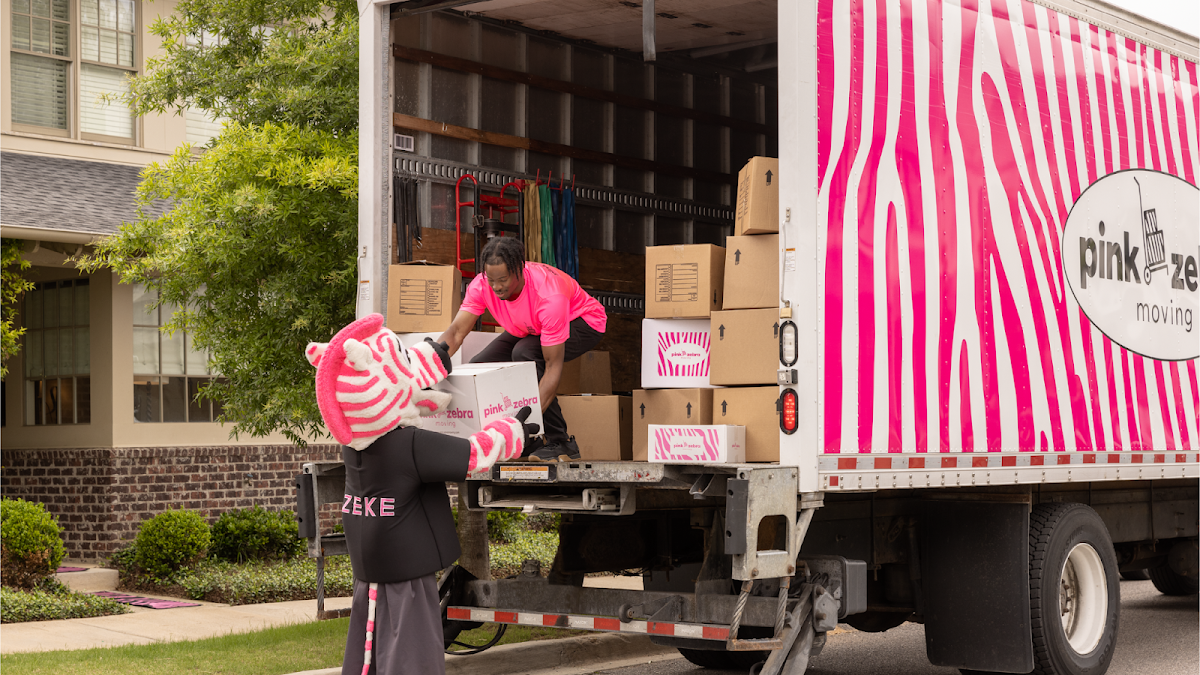 Pink Zebra - Chesterfield