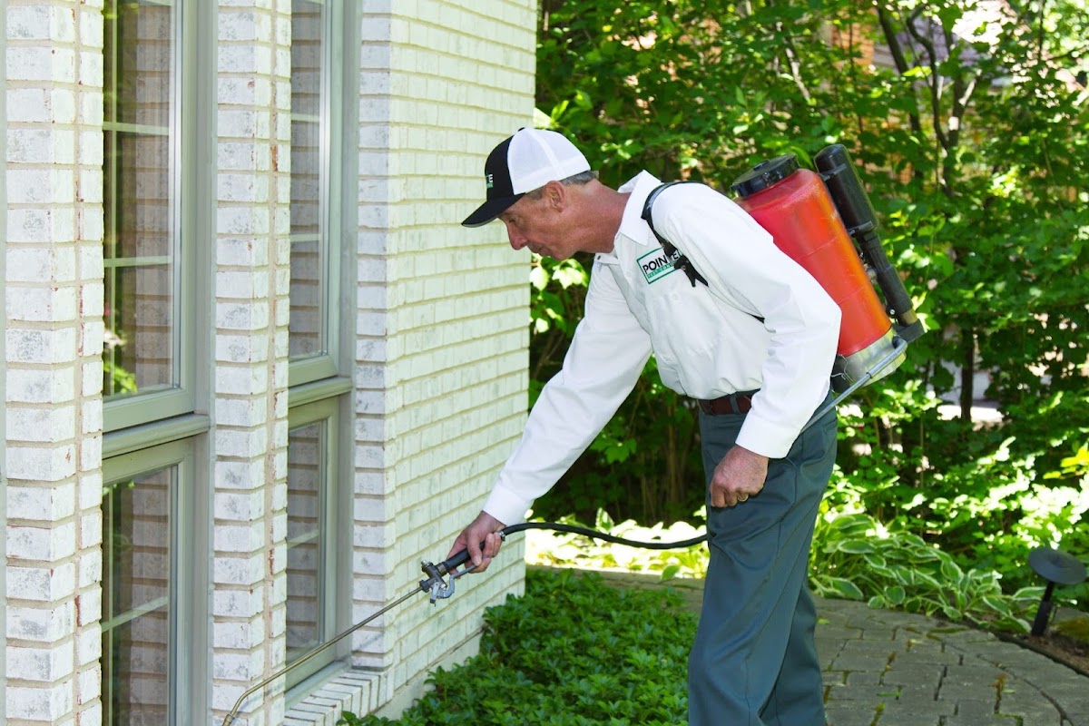 Pointe Pest Control - Eureka