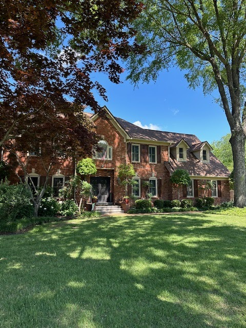 Main Image
