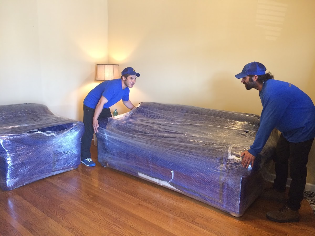 Marigold Movers