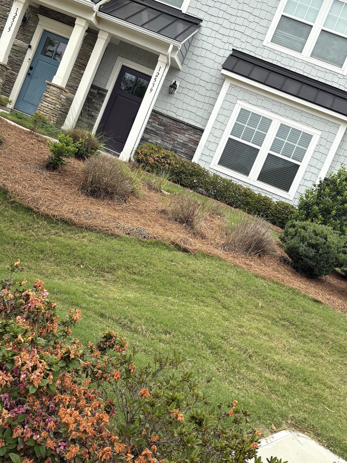 Terra Green Precision Landscapes