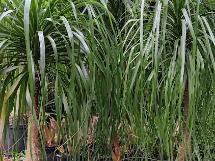 All Terrain Landscaping