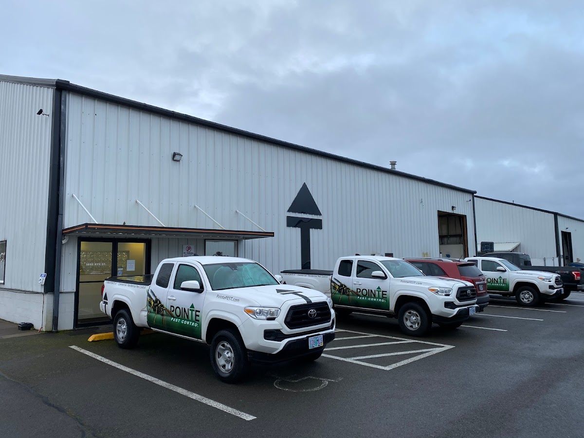 Pointe Pest Control - Albany