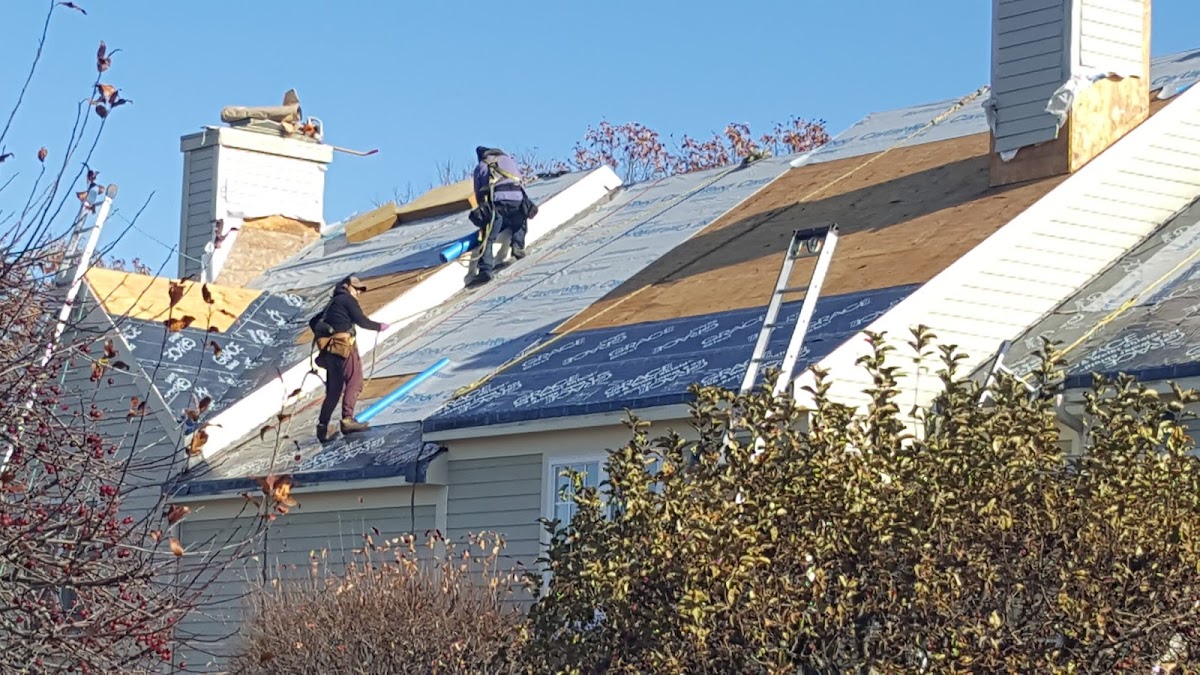Able Roofing
