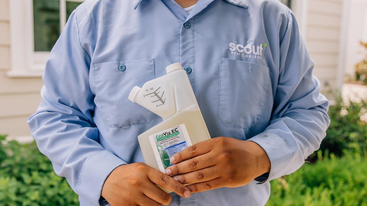 Scout Pest Control