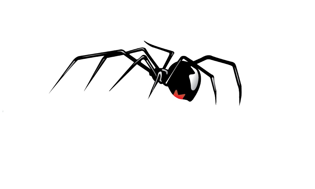 Preventive Pest Control Utah