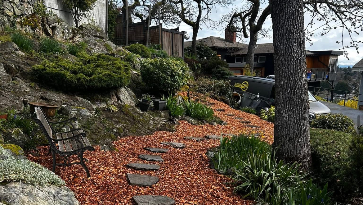 Victoria Student Landscaping