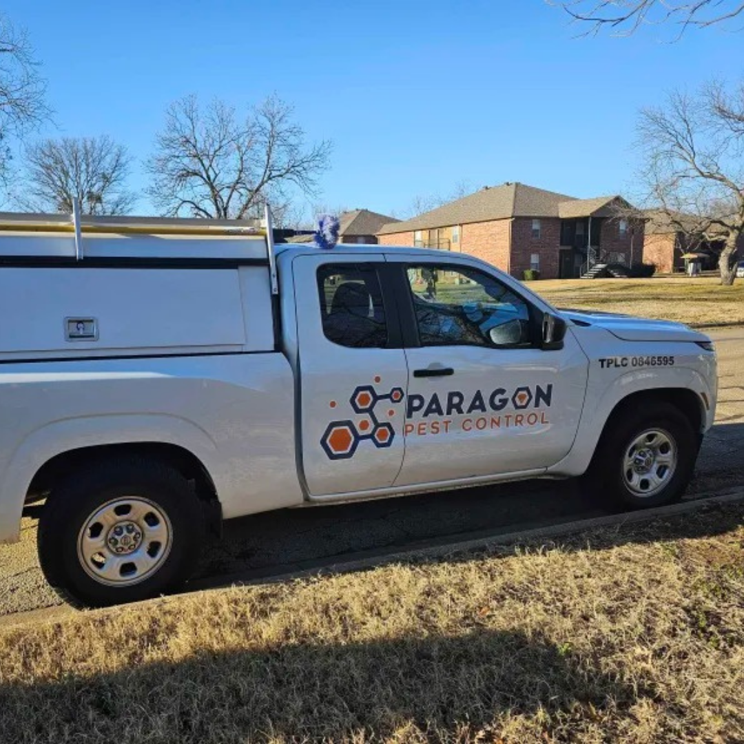 Paragon Pest Control