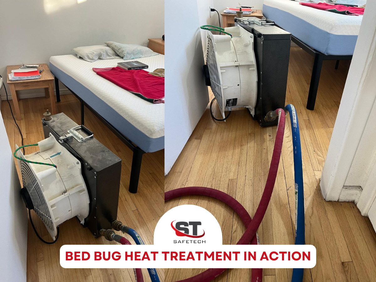 Safetech Pest Control